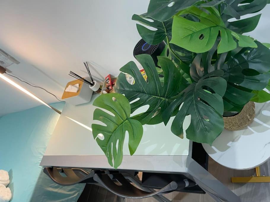 马德里Acogedor Estudio D Junto A Metro公寓 外观 照片